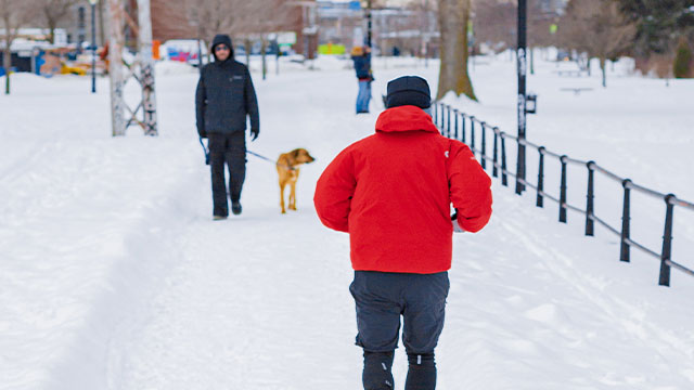 The Lachine Canal Winter Trail, an ideal place to run, walk and snowshoe all winter long