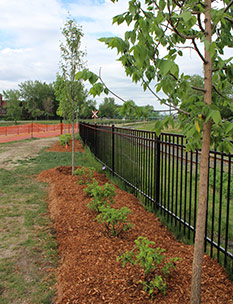 650 shrubs and plants will be planted to refresh the park