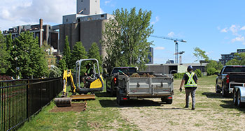 650 shrubs and plants will be planted to refresh the park