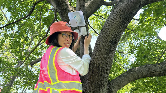 Smiling woman in reflective vest installing a scientific sensor on a tree.