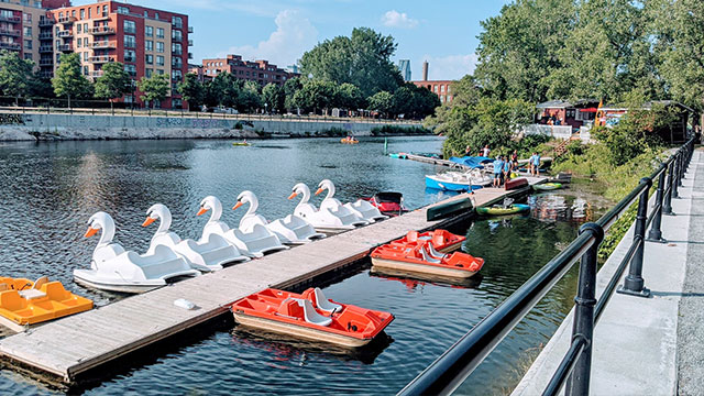Swan pedalos moored at the Lachine Canal wharf