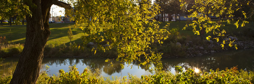 vue sur la rivière dans le parc