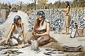 A drawing of two amerindian women preparing the corn.