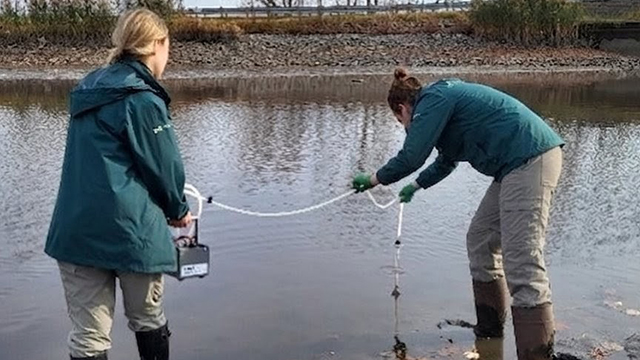 Deux personnes effectuent un prélèvement d’eau depuis un quai en bois à l’aide d’un contenant attaché à une corde plongée dans l’eau.