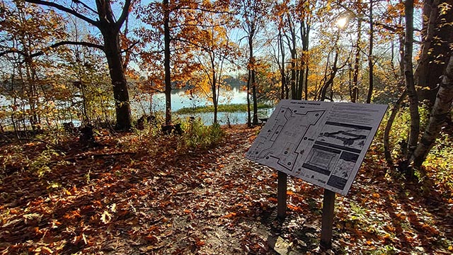 Interpretation panel in a forest beside a stream.