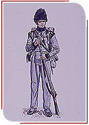 Soldier in the Canadian Voltigeurs