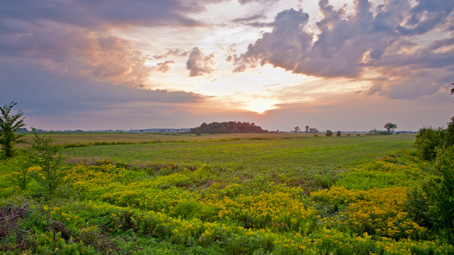 Vue du champ de bataille lors d’un coucher de soleil estival au lieu historique national de la Bataille-de-la-Châteauguay.