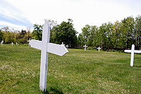 The Irish Cemetery