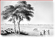 Black and white drawing. There are military constructions in background. In the foreground, there are a big tree, tree men and some cows in a large field.