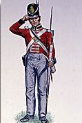 Soldier wearing red coat, blue pants, big black hat and holding a gun with a bayonet in his left hand.
