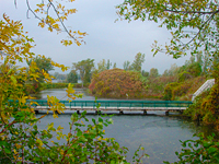 Paysage d'automne