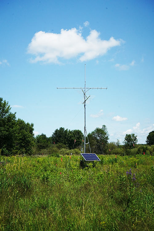 An antenna in a field