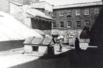 View of the backyard before the renovation.
