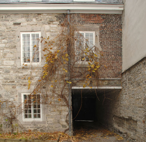 Vue arrière de la maison