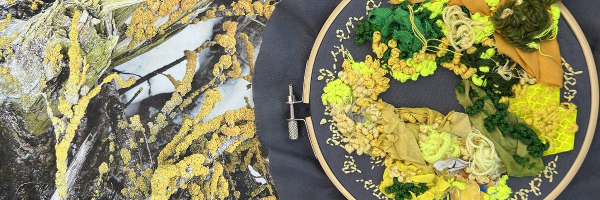 Two photos showing, on the left, seaweed and, on the right, a work of embroidery representing this seaweed.