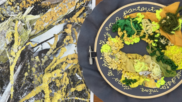 Two photos showing, on the left, seaweed and, on the right, a work of embroidery representing this seaweed. 