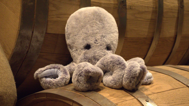 Octopus stuffed toy.