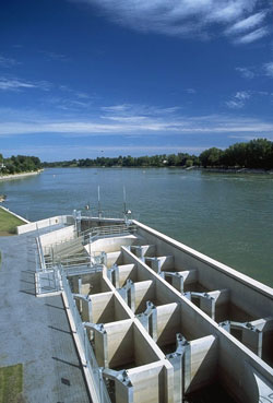 Fishway ladder