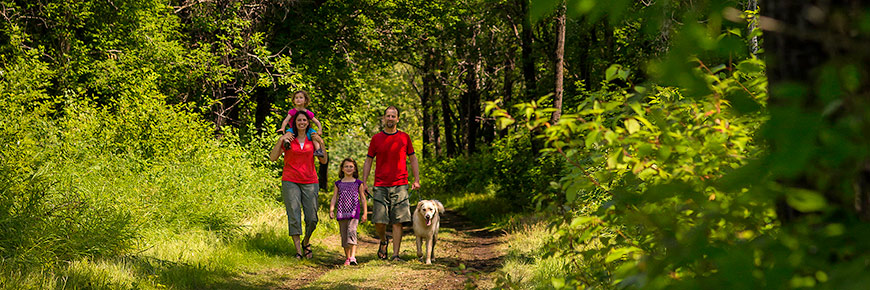 Visitors walking along the Carlton Trail.