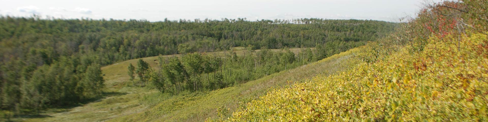 View of field at Frenchman Butte National Historic Site