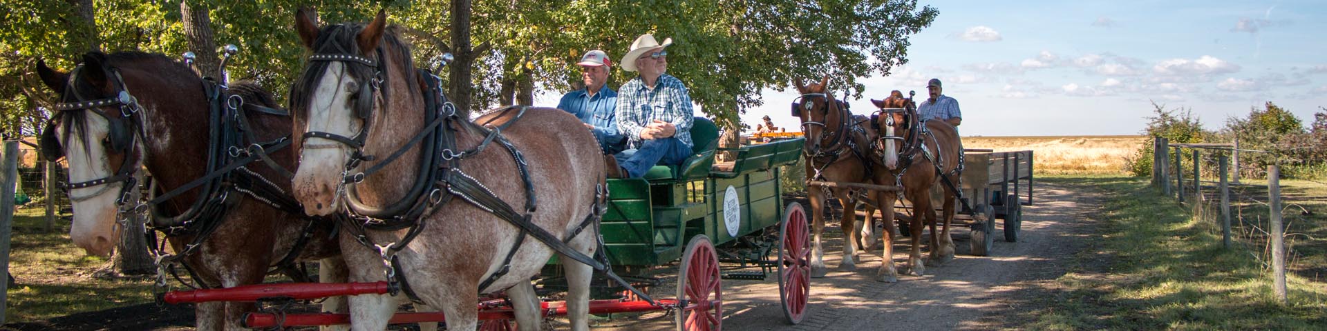 Plusieurs chariots tirés par des chevaux attendant que des visiteurs y montent au lieu historique national du Homestead-Motherwell