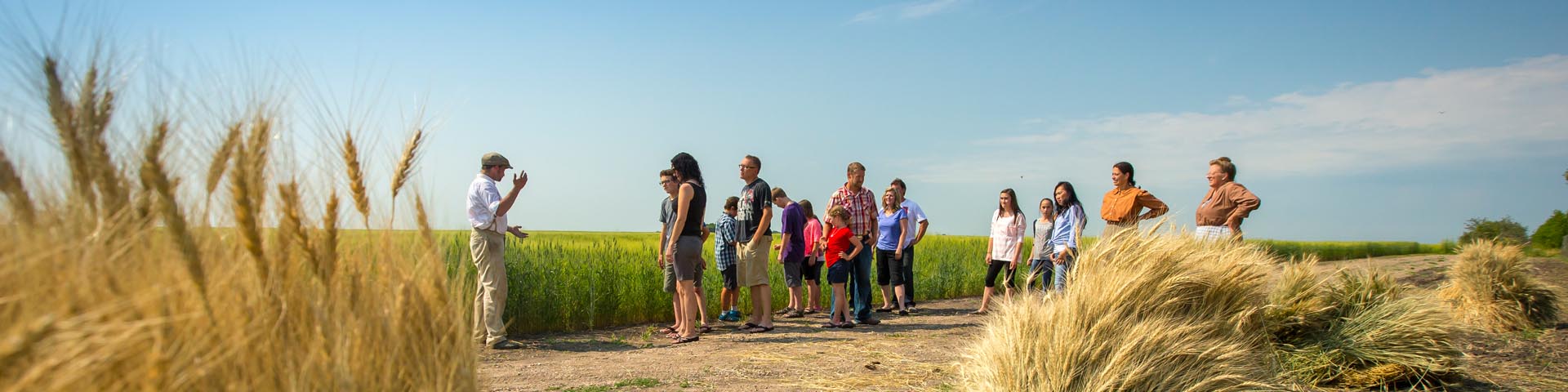 	Groupe de visiteurs s'informant sur la mise en moyettes au lieu historique national du Homestead-Motherwell 