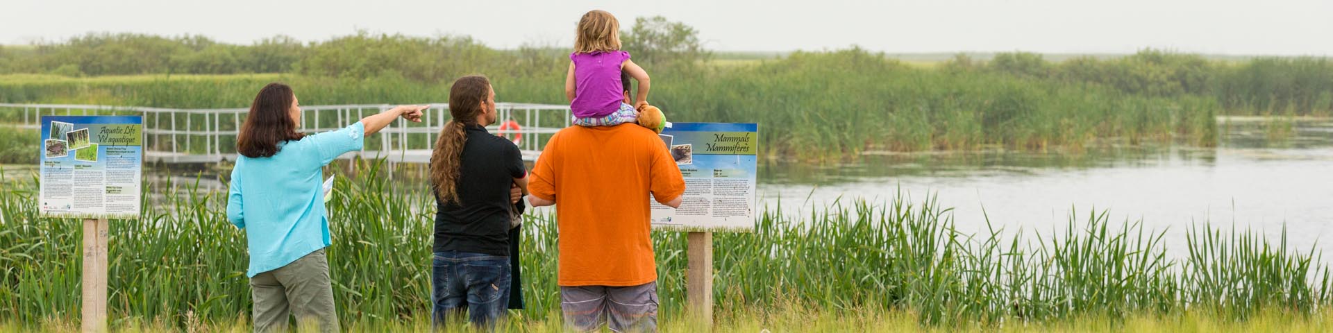 A group of people with a small child are looking out over the pond along the Stueck trail at Motherwell Homestead NHS.