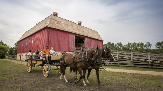 Un attelage de chevaux tire un chariot rempli de visiteurs près de la grosse grange rouge au lieu historique national du Homestead-Motherwell.