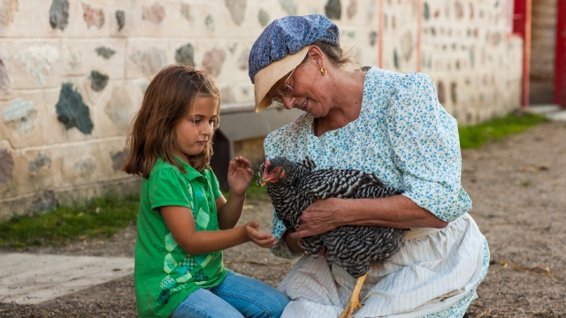 An interpreter presents a chicken to a girl. 