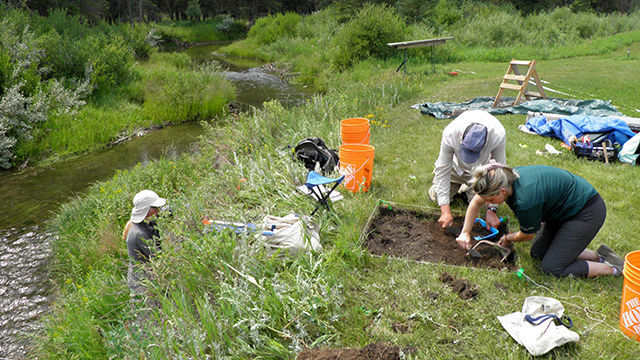 Archaeologists working along a creek bank to record soil layers at the site.