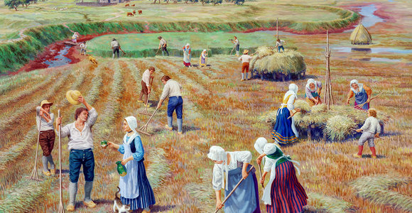 The Harvest