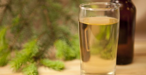 Spruce Beer