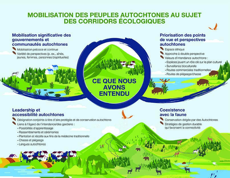 Un graphique illustrant ce qui a été entendu lors de la mobilisation des peuples autochtones sur les corridors écologiques — La description textuelle suit