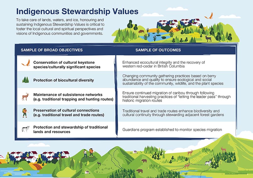 A graphic illustrating sample Indigenous stewardship value broad objectives for ecological corridors and a corresponding sample of outcomes - Text description follows.