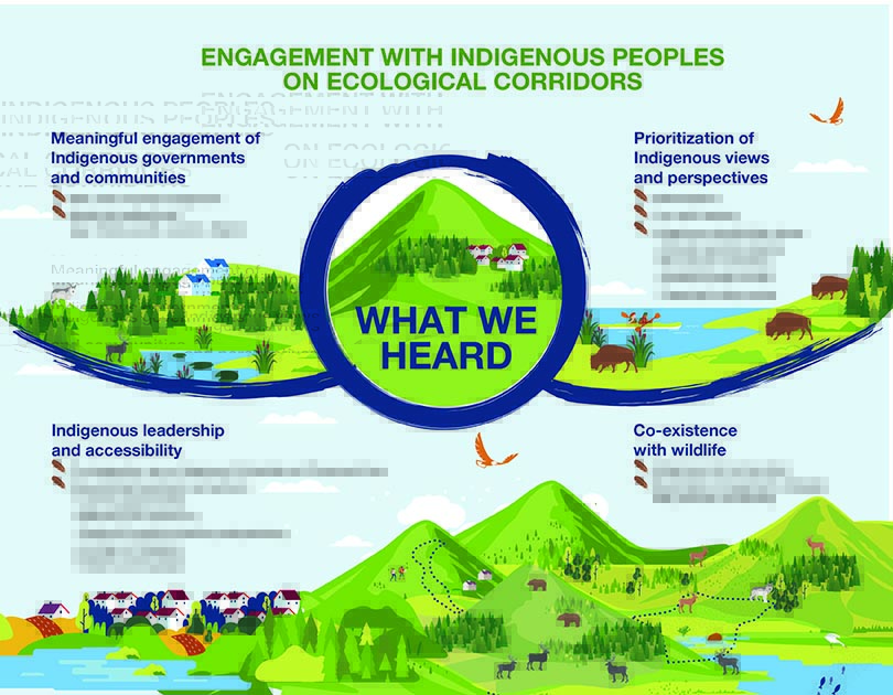 A graphic illustrating what was heard through engagement with Indigenous peoples on ecological corridors — Text description follows