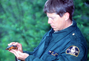 Parks Canada warden with a wood turtle