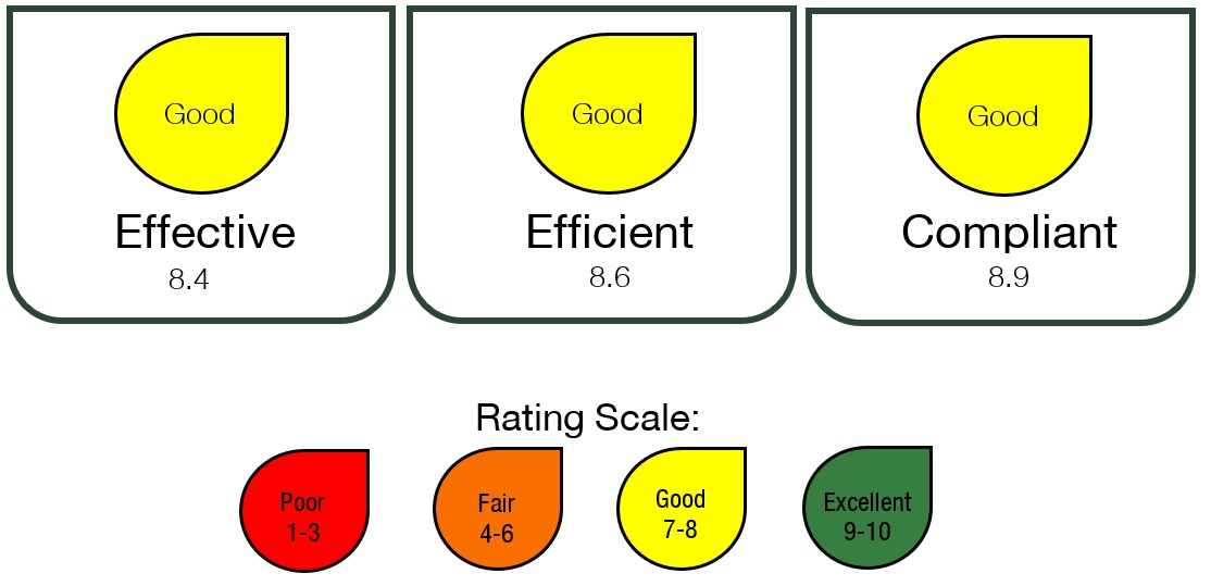 Figure 1 Annual review rating scale and results, text description follows.