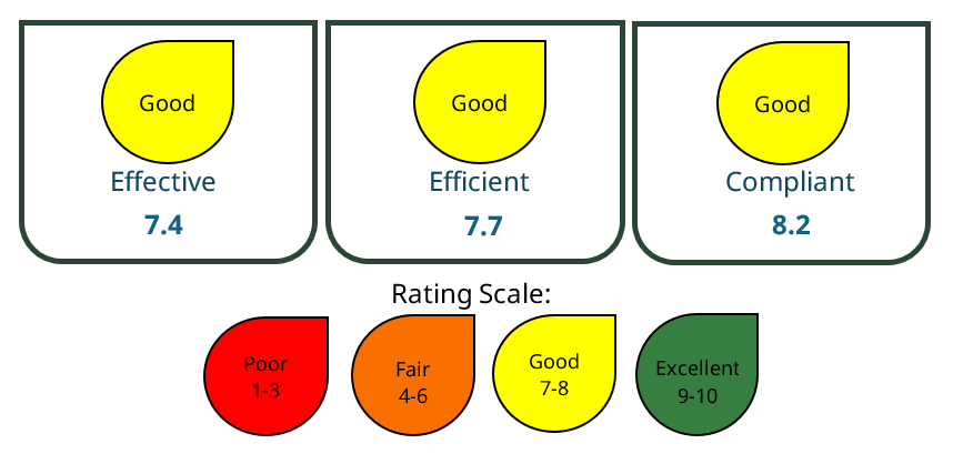 Figure 1 Annual review rating scale and results, text description follows.