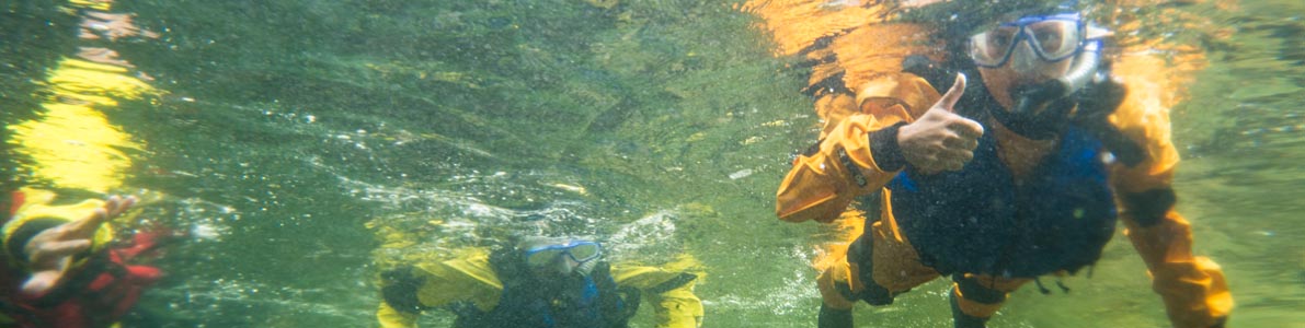 A group of three swimmers look for salmon in the Upper Salmon River in Fundy National Park during a Swim with Salmon program in early fall.