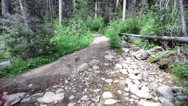Small stream with many rocks of various sizes on the trail