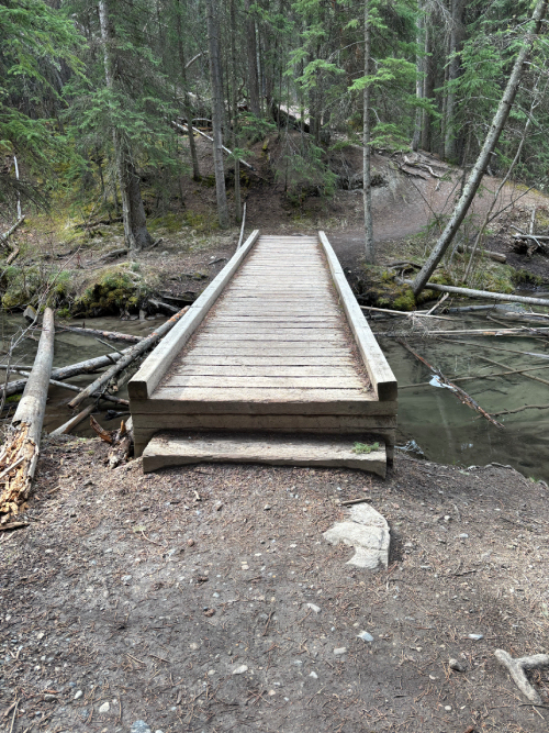Wooden bridge without handrails that requires a step up to use