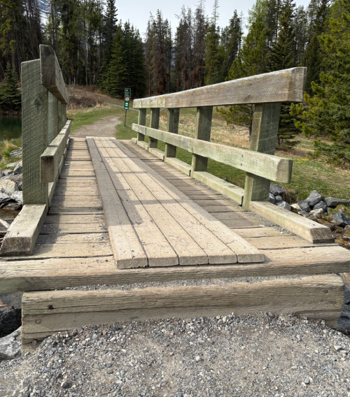 Wooden bridge with handrails that requires a step up to use
