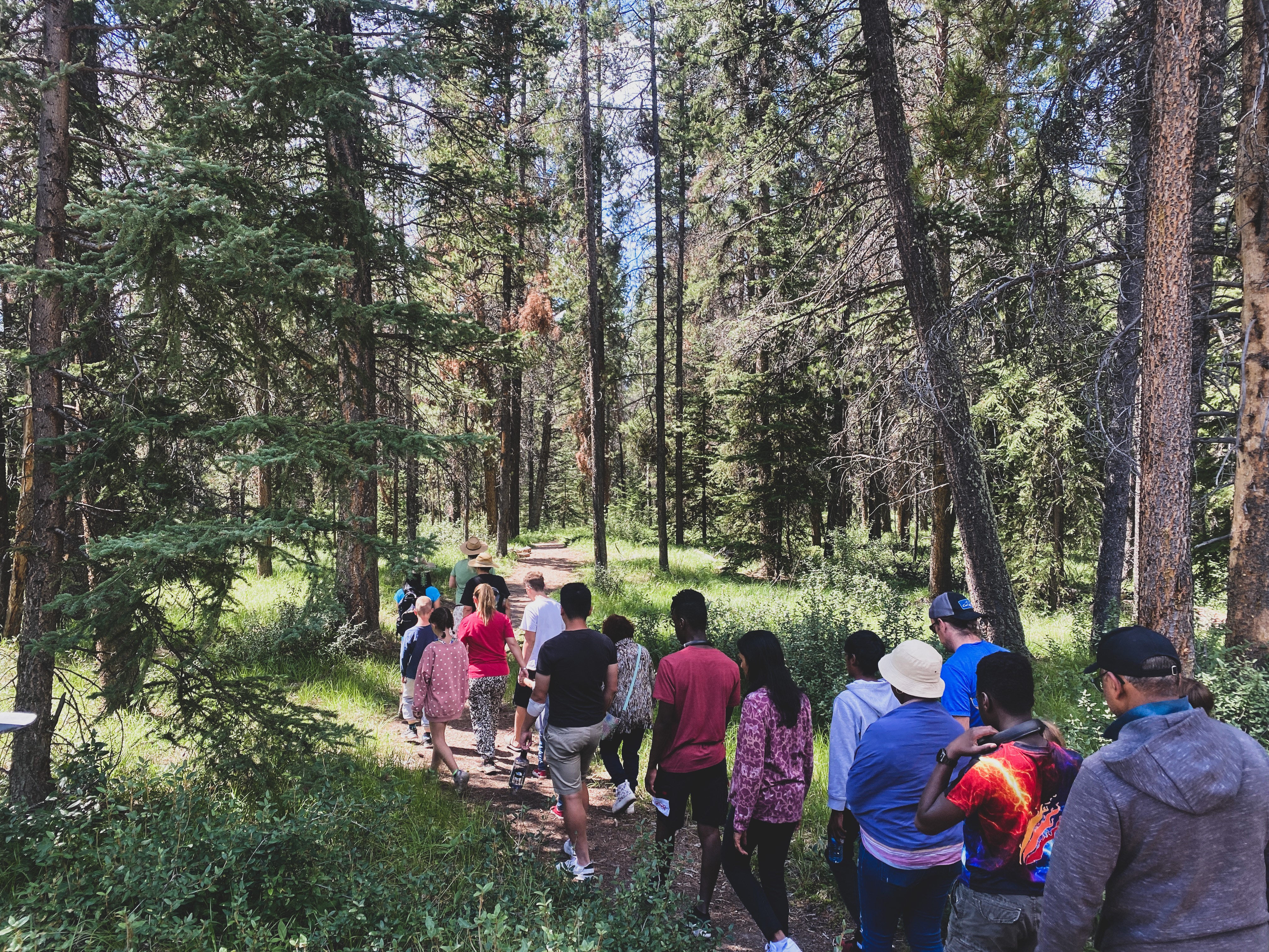 Enjoy a leisurely walk to identify local plants from a Métis perspective.