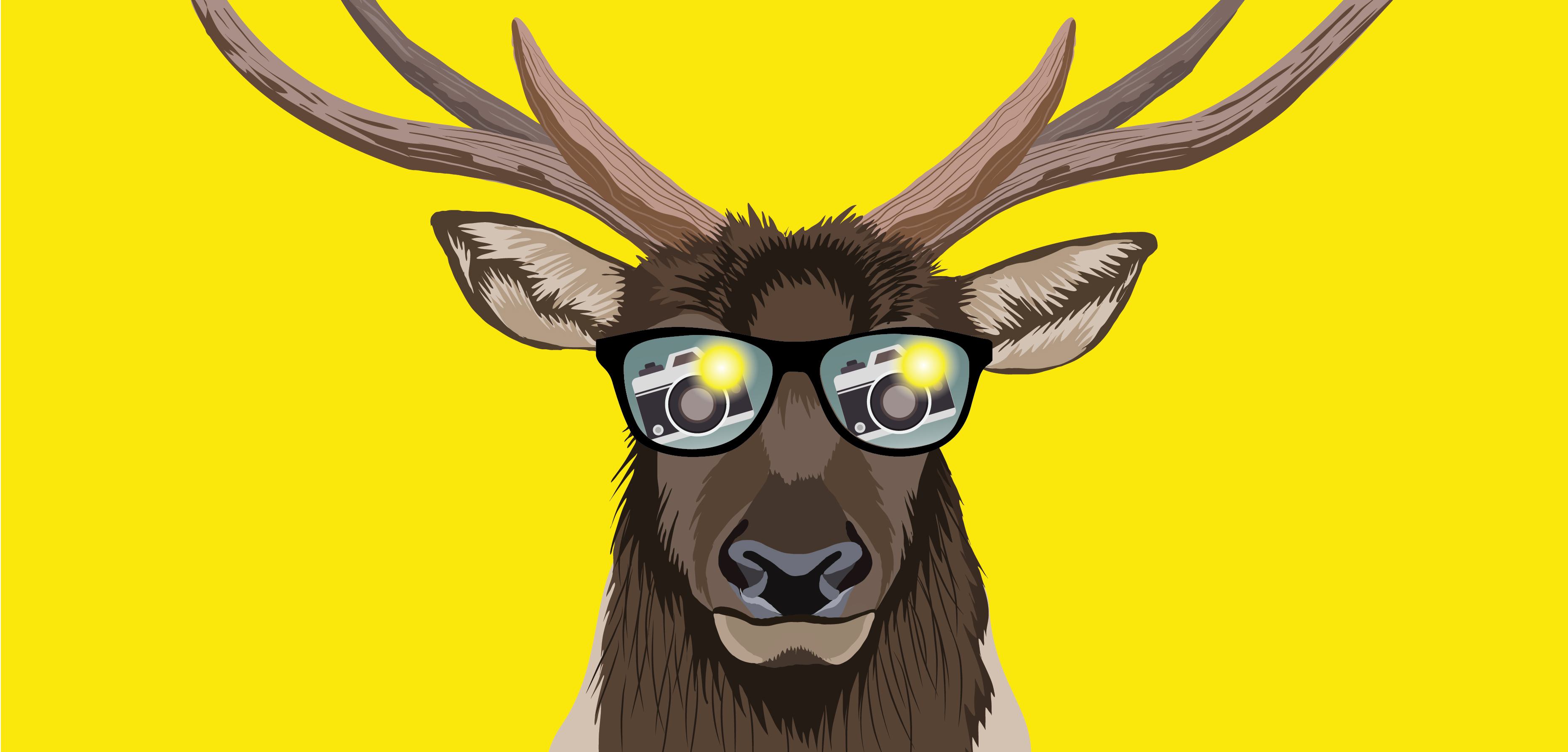 Drawing of an elk wearing sunglasses on a yellow background. A flashing camera is in the reflection of the sunglasses.
