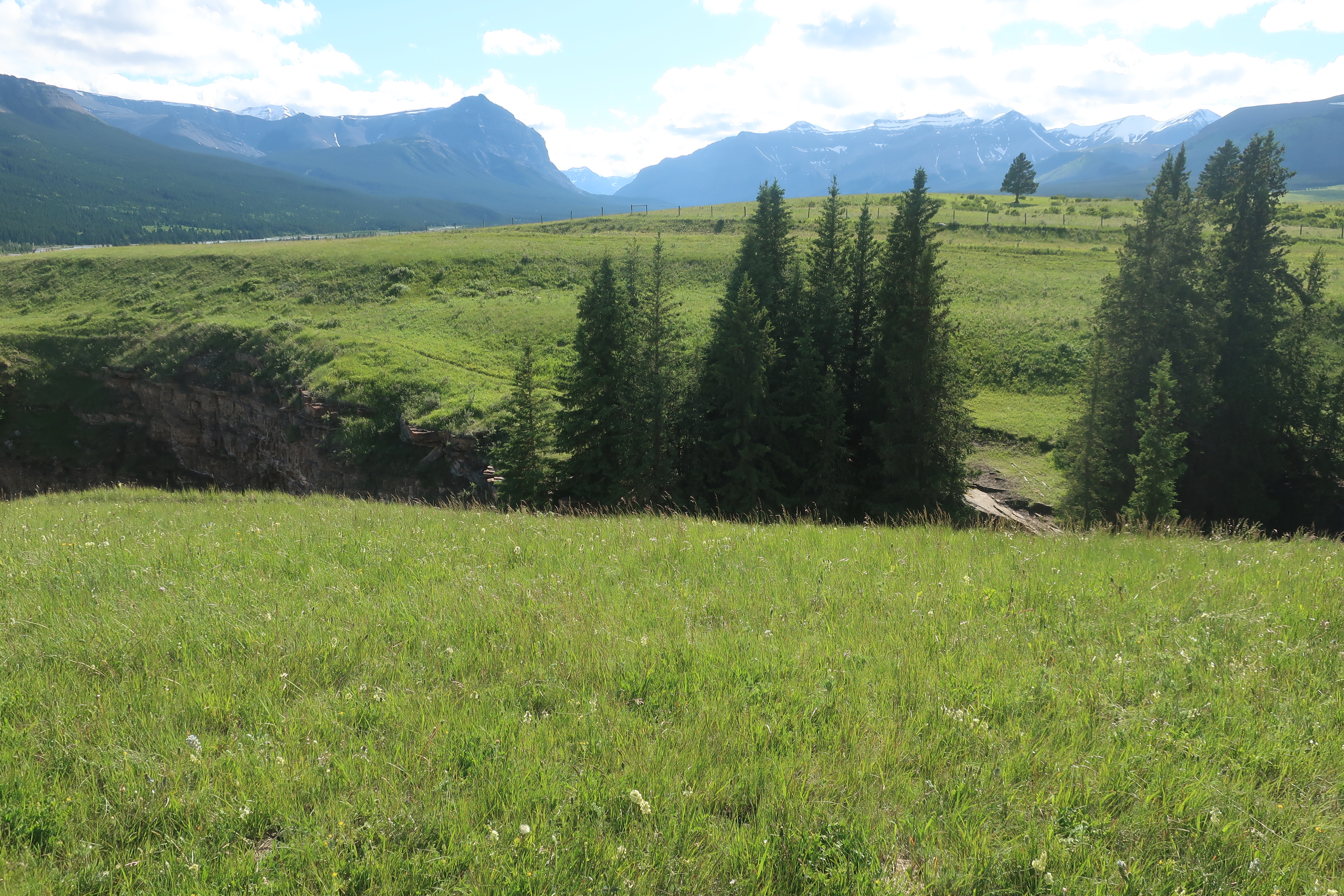 Landscape image taken at Ya Ha Tinda Ranch