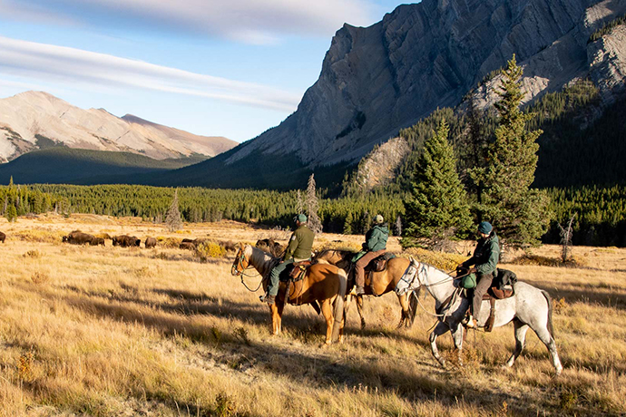 Conservation staff on horseback in backcountry