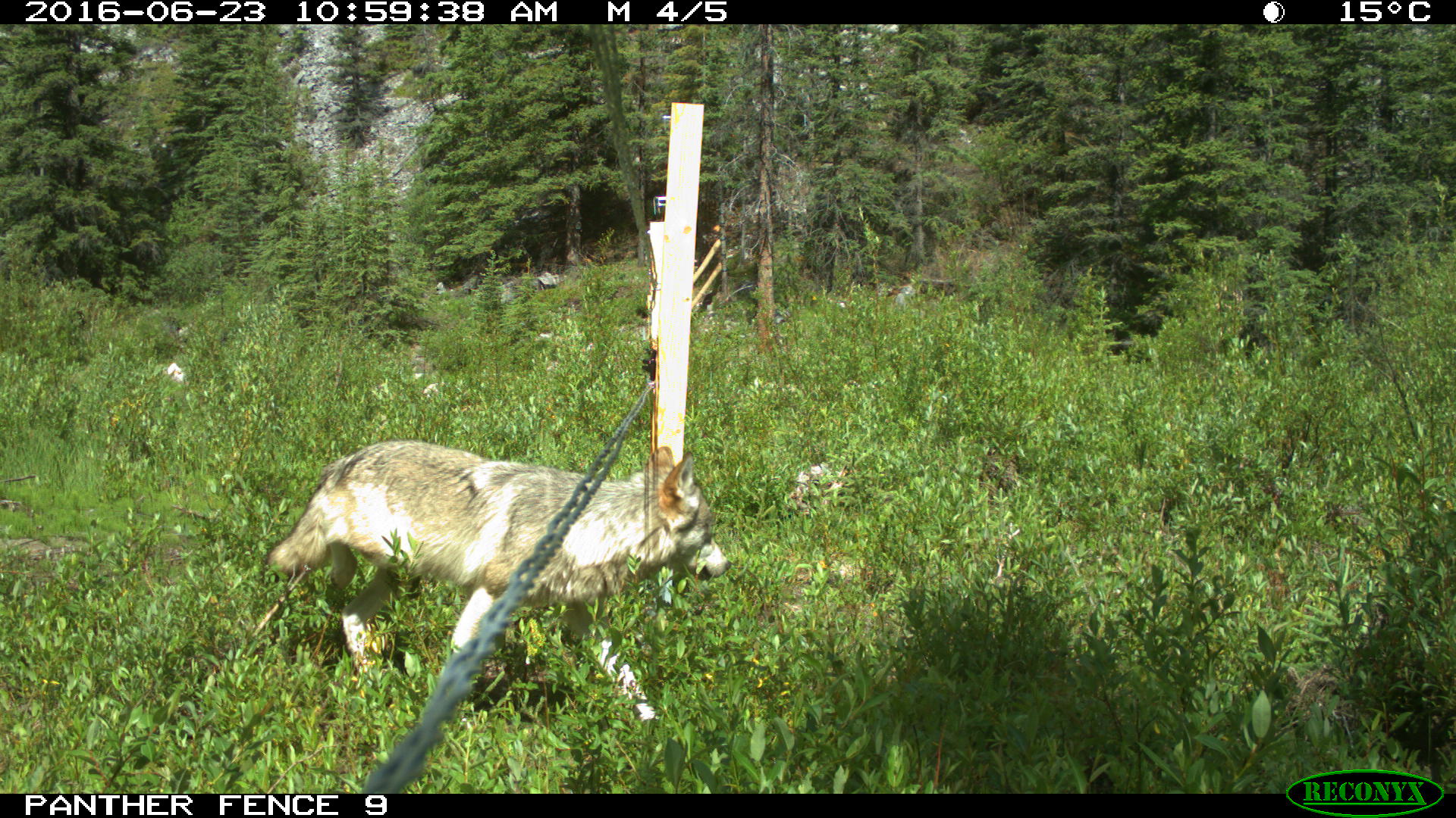 Je flotte à droite | Floating right