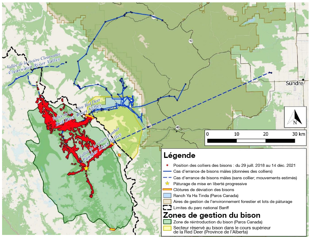 Figure 6 — Coordonnées des colliers GPS de la population principale de bisons depuis la mise en liberté  — La version textuelle suit.