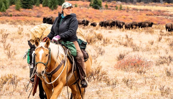 A person on horseback, bison are in the background.