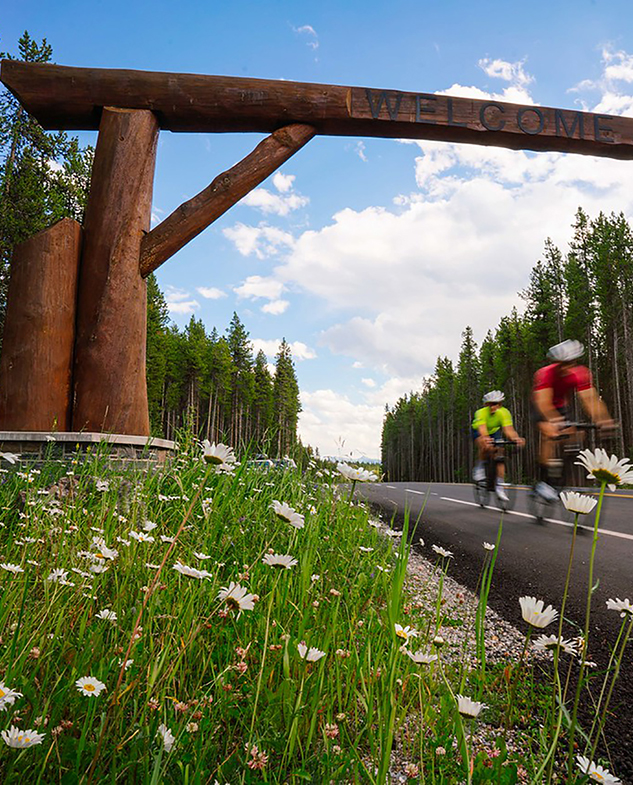 Two cyclists moving quickly down the Bow Valley Parkway